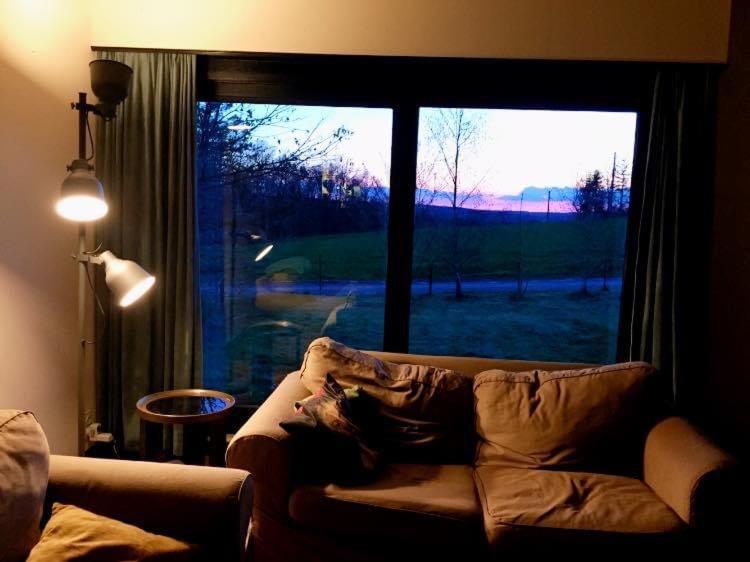 Bungalow Rochehaut Au Calme Kültér fotó